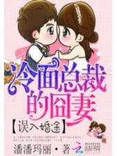 vip女保镖 作者：十分快三